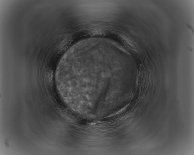 X0000095670550200801221206