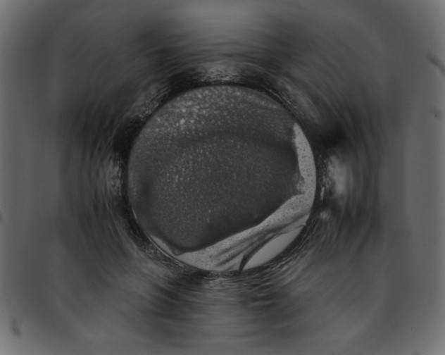 X0000095670551200801221206