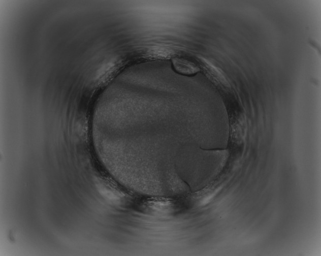 X0000095670552200801221206