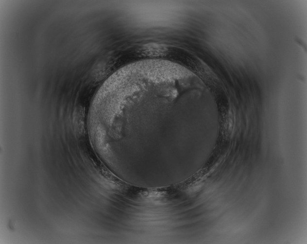 X0000095670553200801221206