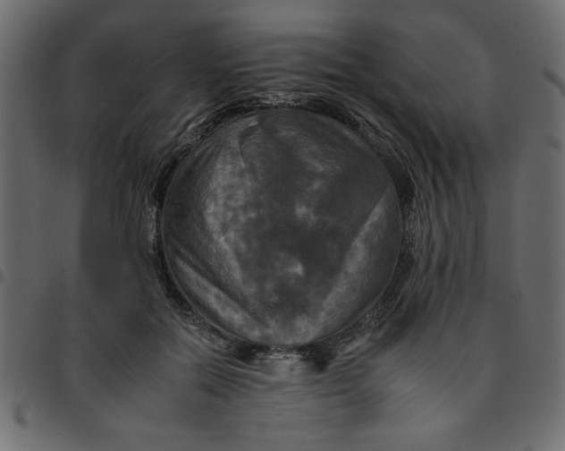 X0000095670554200801221206