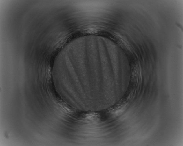 X0000095670555200801221206