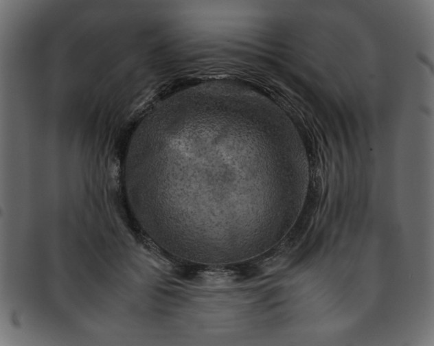 X0000095670556200801221206