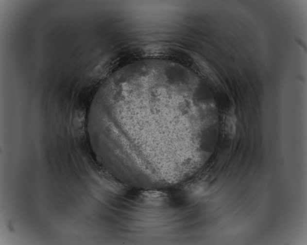 X0000095670557200801221206