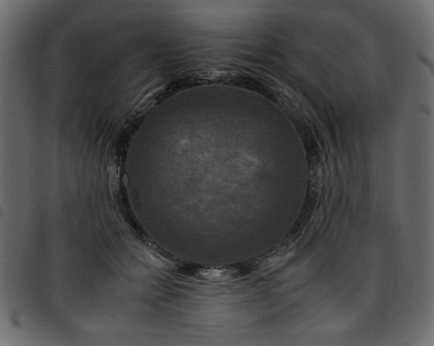 X0000095670558200801221206