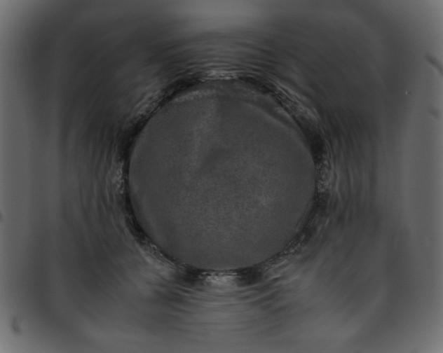 X0000095670560200801221206