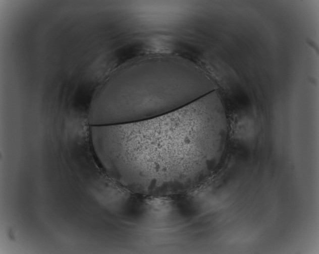 X0000095670561200801221206