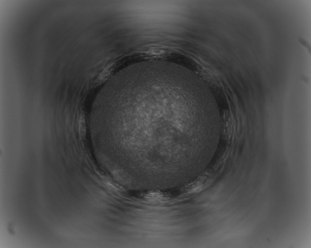 X0000095670562200801221206