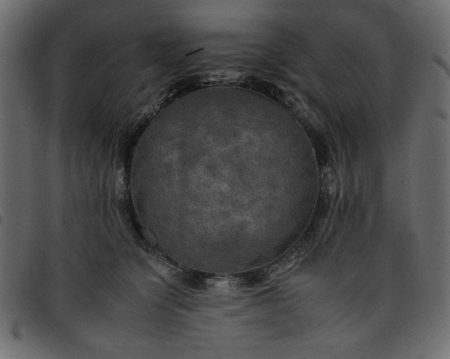 X0000095670564200801221206