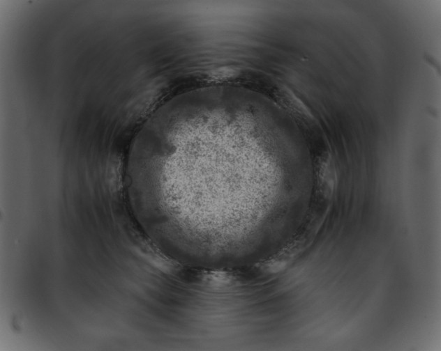 X0000095670565200801221206