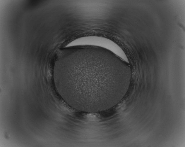 X0000095670566200801221207