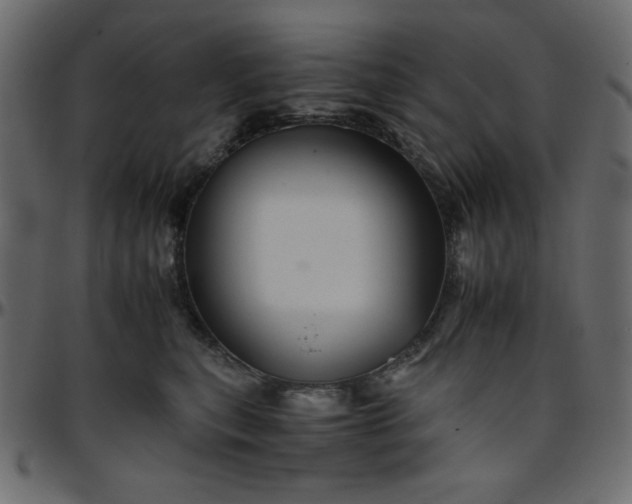 X0000095670567200801221207