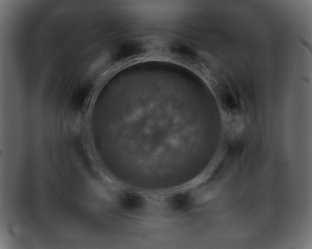 X0000095670568200801221207