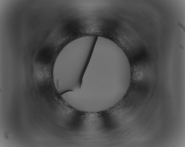 X0000095670569200801221207