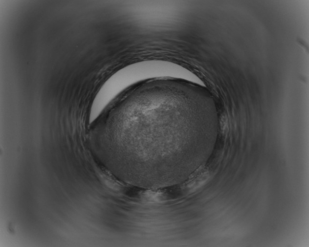 X0000095670570200801221207