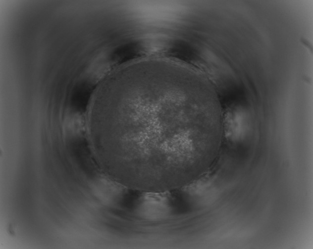 X0000095670571200801221207