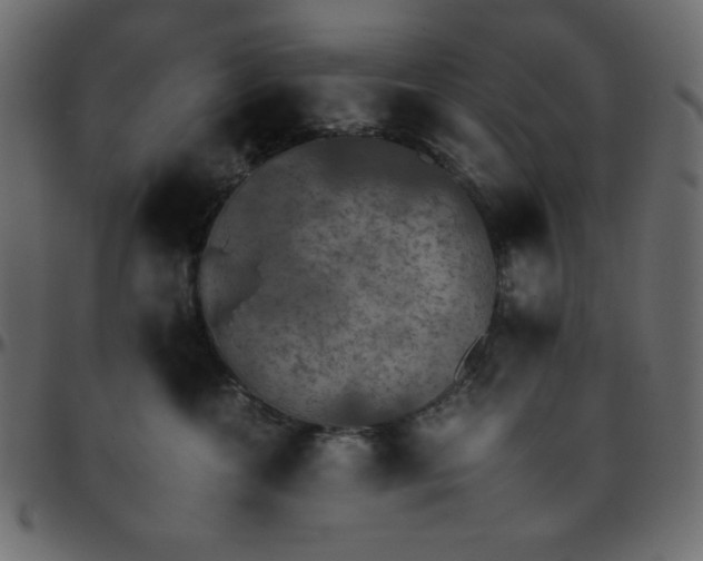 X0000095670572200801221207