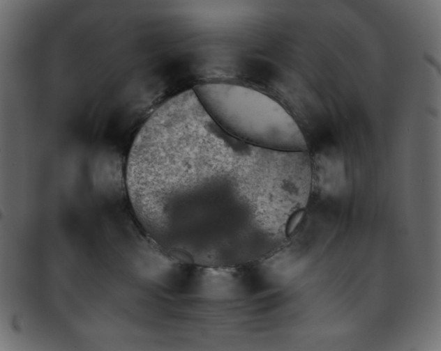 X0000095670573200801221207