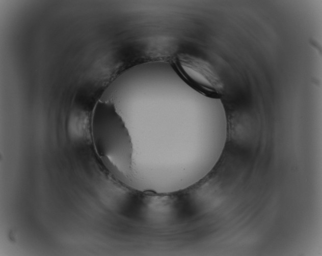 X0000095670575200801221207