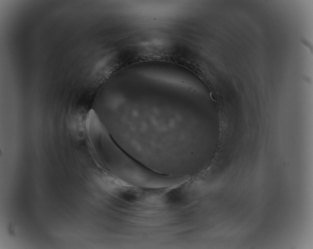 X0000095670576200801221207