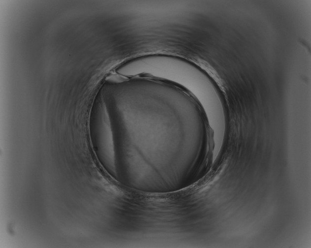 X0000095670577200801221206