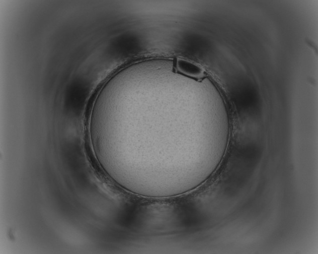 X0000095670578200801221206