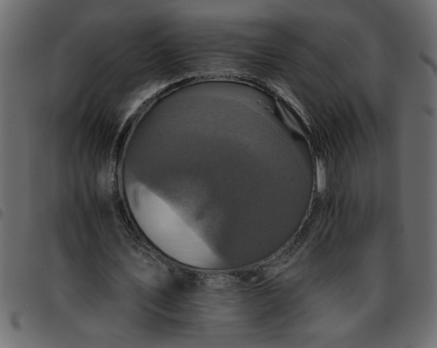 X0000095670579200801221206