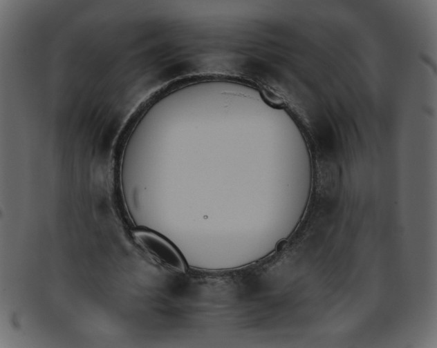 X0000095670580200801221206