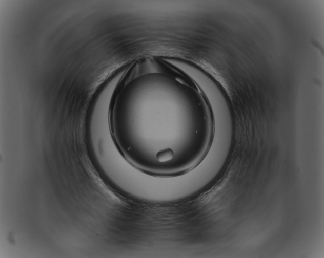 X0000095670581200801221206