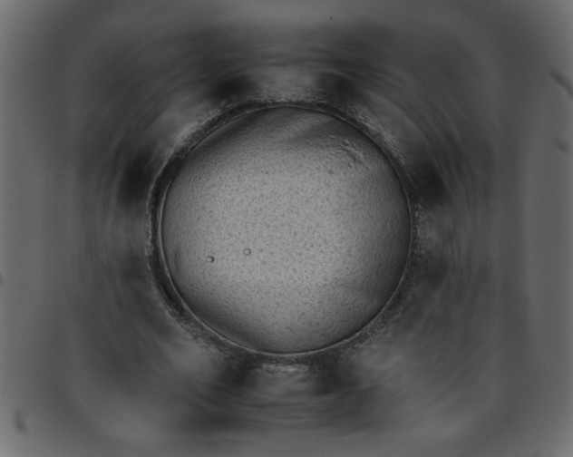 X0000095670582200801221206