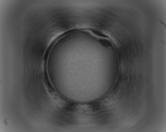 X0000095670583200801221206