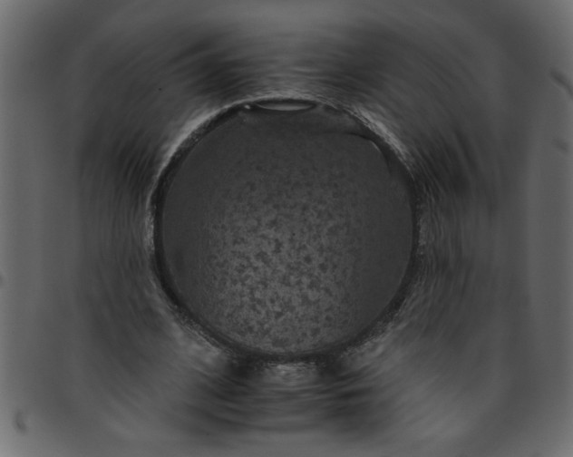 X0000095670584200801221206