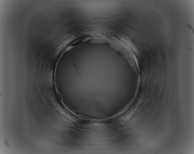 X0000095670585200801221206