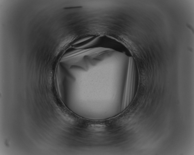 X0000095670586200801221206