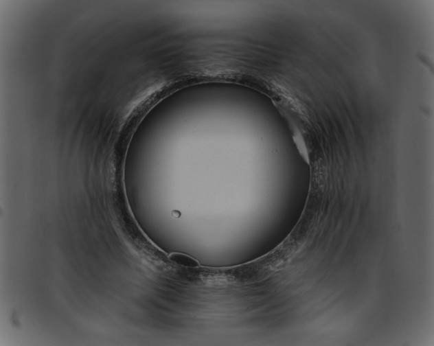 X0000095670587200801221206