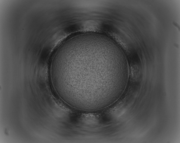 X0000095670588200801221206