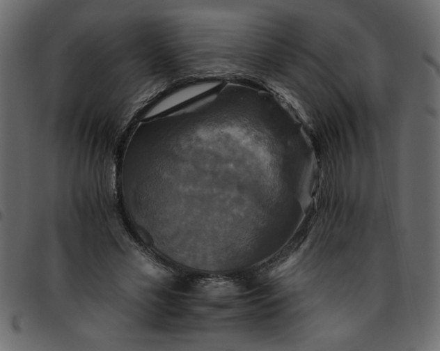 X0000095670589200801221206