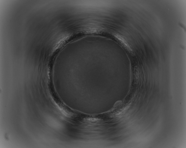 X0000095670590200801221206