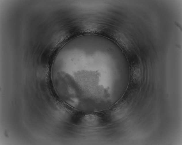 X0000095670591200801221206