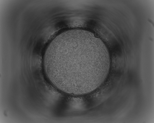 X0000095670592200801221206