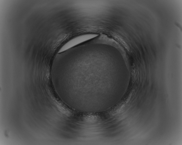 X0000095670593200801221206