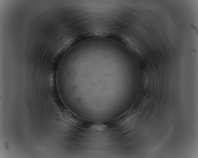 X0000095670595200801221206