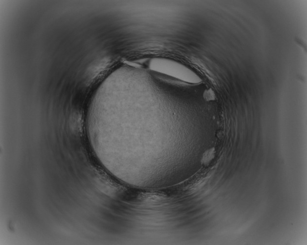 X0000095670597200801221206