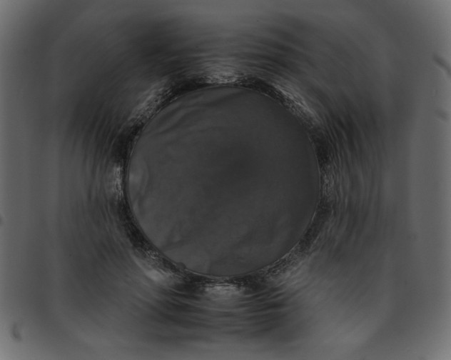 X0000095670598200801221206