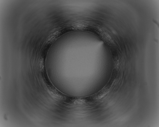 X0000095670599200801221206