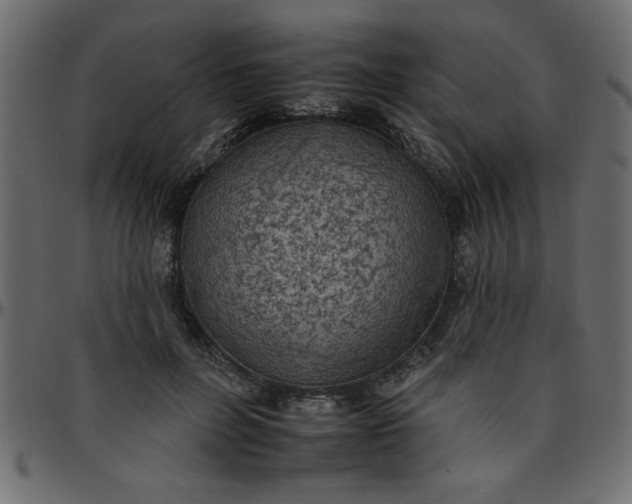 X0000095670600200801221206