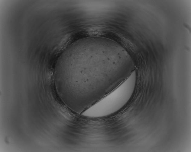 X0000095670601200801221206