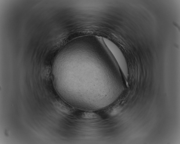 X0000095670605200801221206