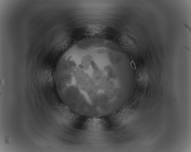 X0000095670607200801221206