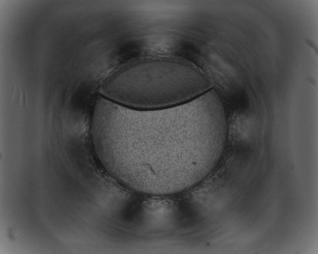 X0000095670608200801221206